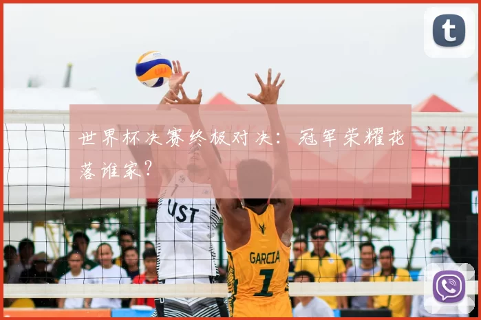 世界杯决赛终极对决:冠军荣耀花落谁家?