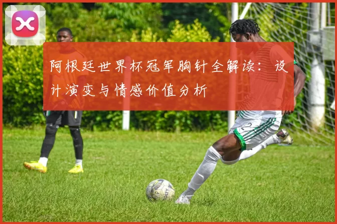 阿根廷世界杯冠军胸针全解读：设计演变与情感价值分析