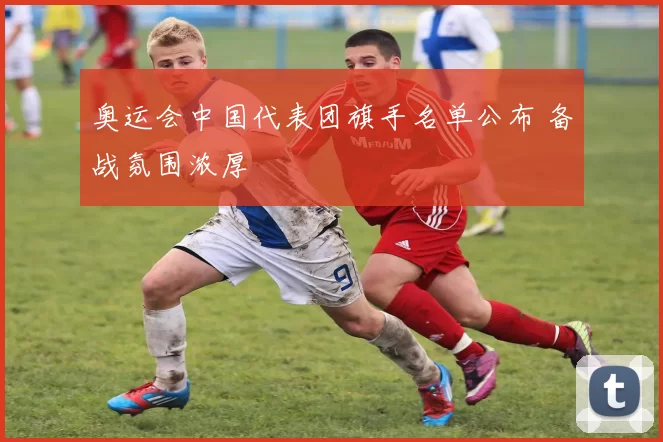奥运会中国代表团旗手名单公布 备战氛围浓厚