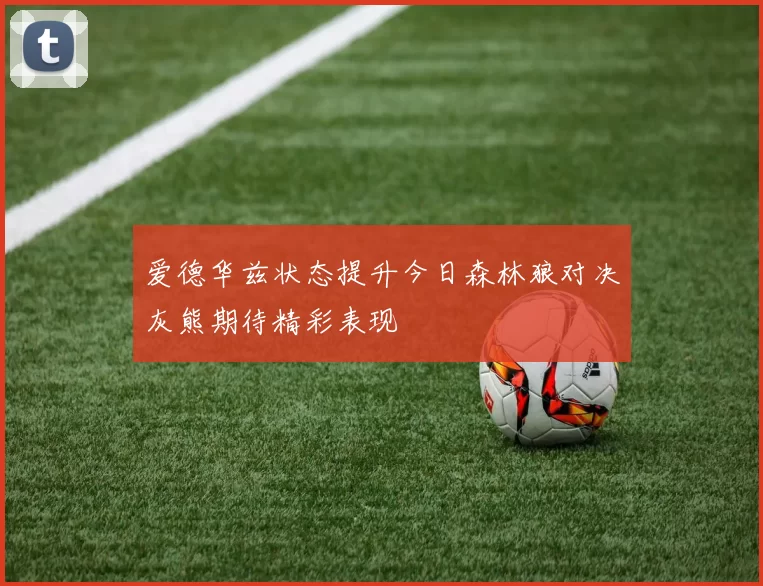 爱德华兹状态提升今日森林狼对决灰熊期待精彩表现