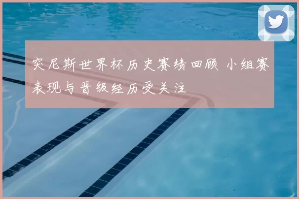 突尼斯世界杯历史赛绩回顾 小组赛表现与晋级经历受关注