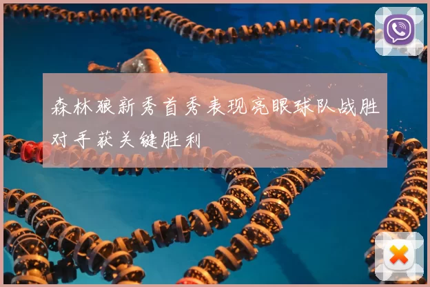 森林狼新秀首秀表现亮眼球队战胜对手获关键胜利