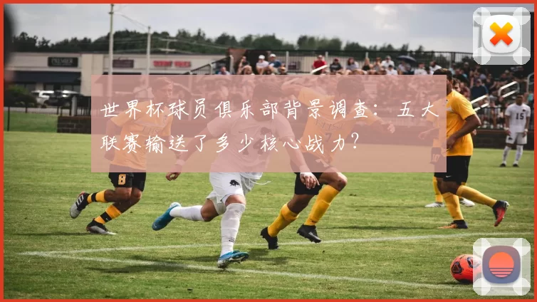 世界杯球员俱乐部背景调查:五大联赛输送了多少核心战力?