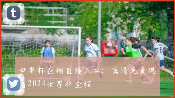 世界杯在线直播入口：高清免费观看2024世界杯全程