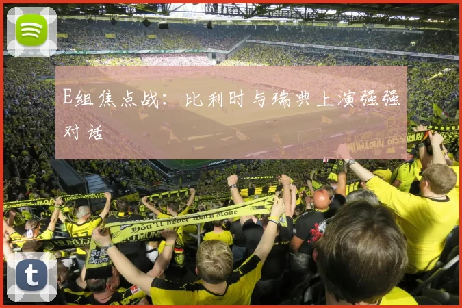 E组焦点战:比利时与瑞典上演强强对话