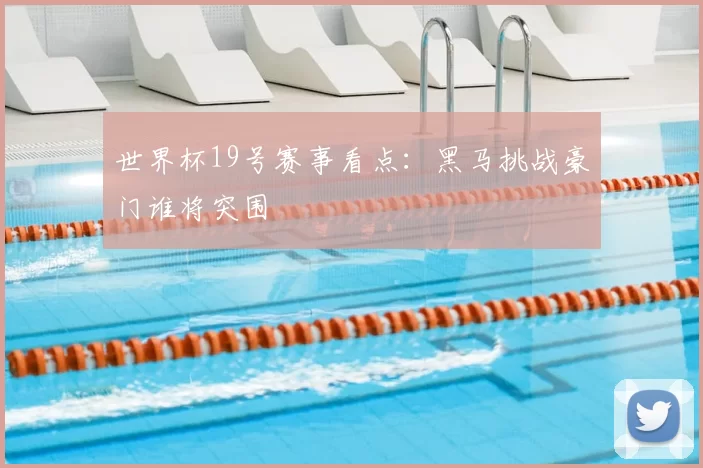世界杯19号赛事看点:黑马挑战豪门谁将突围