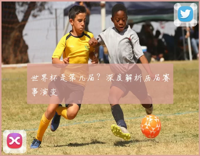 世界杯是第几届?深度解析历届赛事演变