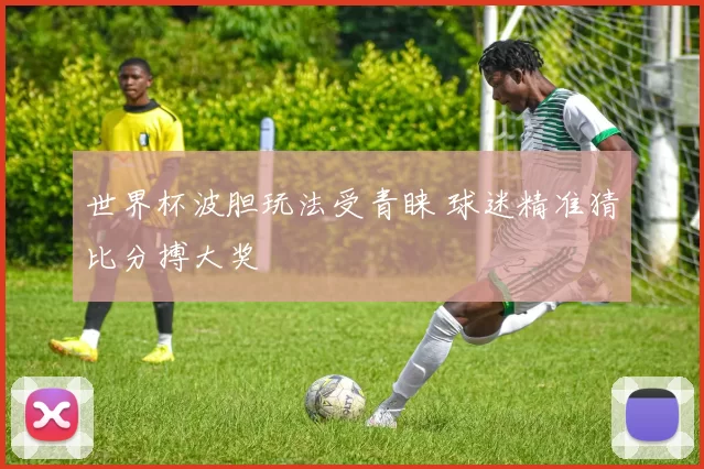 世界杯波胆玩法受青睐 球迷精准猜比分搏大奖
