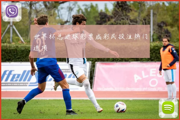 世界杯总进球彩票成彩民投注热门选项