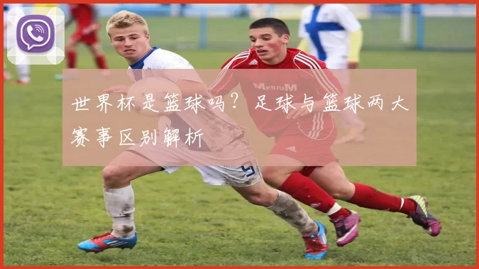 世界杯是篮球吗?足球与篮球两大赛事区别解析