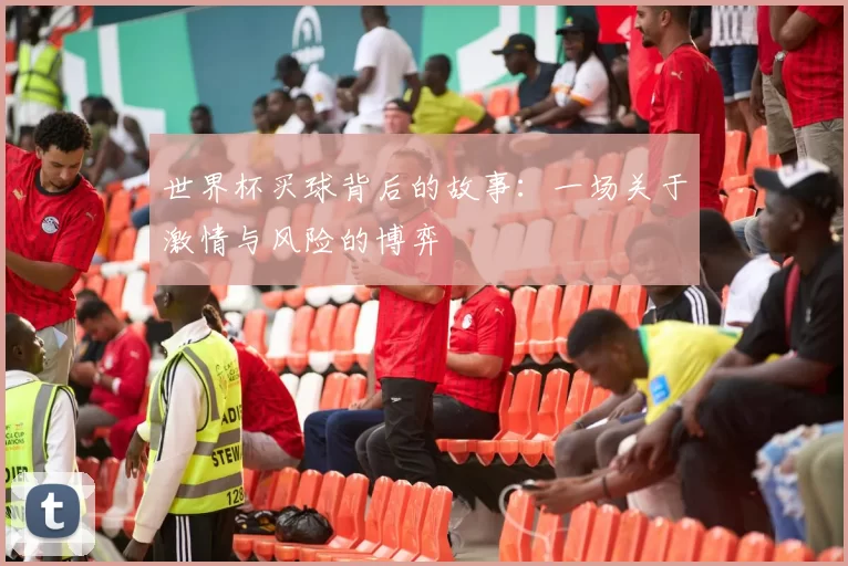 世界杯买球背后的故事:一场关于激情与风险的博弈