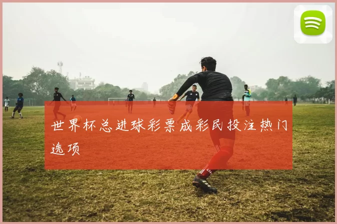 世界杯总进球彩票成彩民投注热门选项