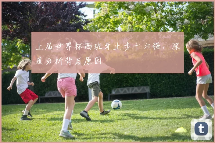 上届世界杯西班牙止步十六强,深度分析背后原因