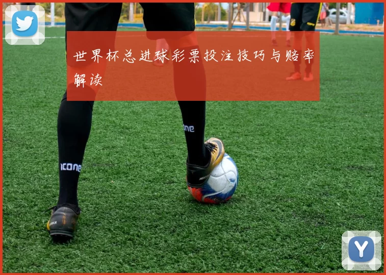 世界杯总进球彩票投注技巧与赔率解读