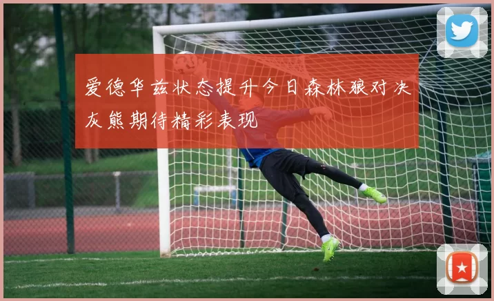 爱德华兹状态提升今日森林狼对决灰熊期待精彩表现