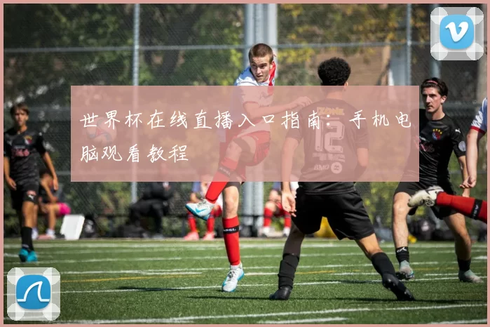 世界杯在线直播入口指南：手机电脑观看教程
