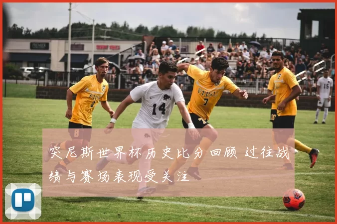 突尼斯世界杯历史比分回顾 过往战绩与赛场表现受关注