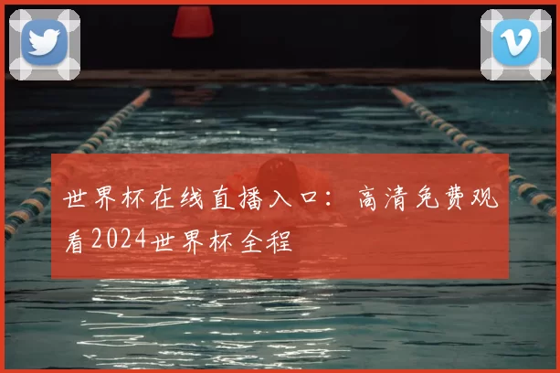 世界杯在线直播入口:高清免费观看2024世界杯全程